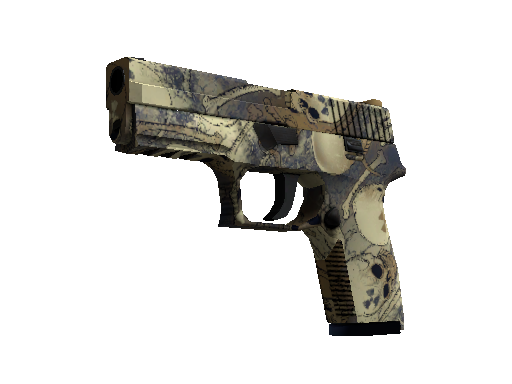 P250 | Contamination (Minimal Wear)