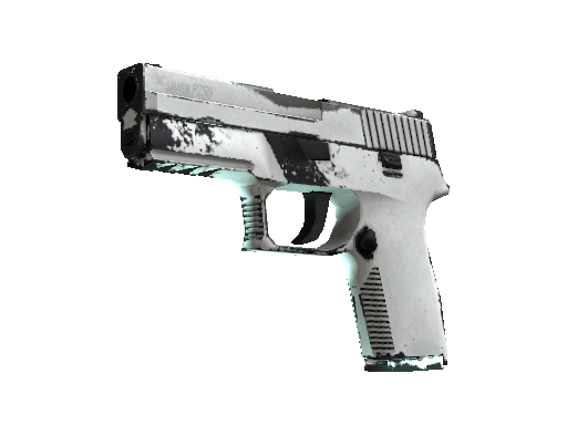 P250 | Whiteout (Well-Worn)