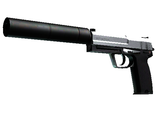 StatTrak™ USP-S | Stainless (Factory New)