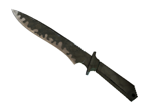 ★ Classic Knife | Safari Mesh (Battle-Scarred)