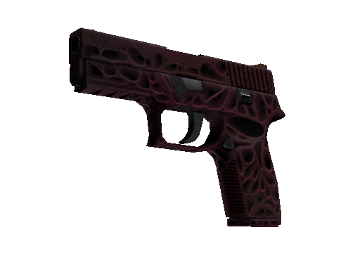 StatTrak™ P250 | Contaminant (Factory New)