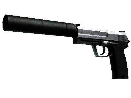 StatTrak™ USP-S | Stainless (Battle-Scarred)