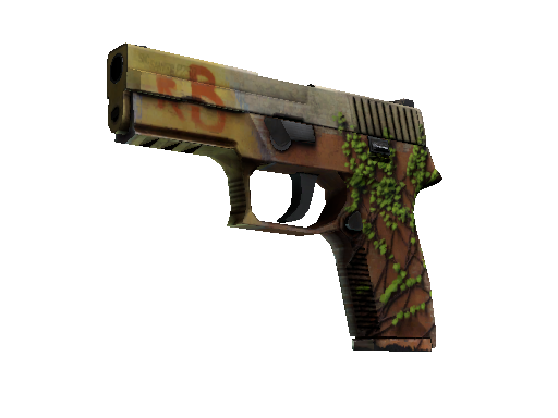 StatTrak™ P250 | Inferno (Well-Worn)