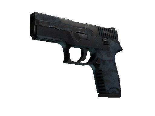 P250 | Forest Night (Battle-Scarred)