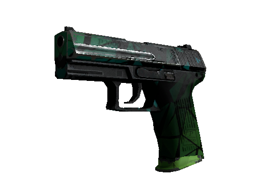 P2000 | Pulse (Field-Tested)