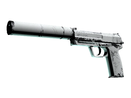 USP-S | Whiteout (Well-Worn)