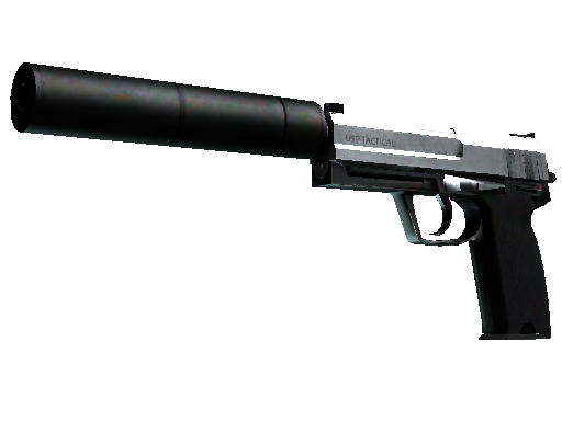 StatTrak™ USP-S | Stainless (Field-Tested)