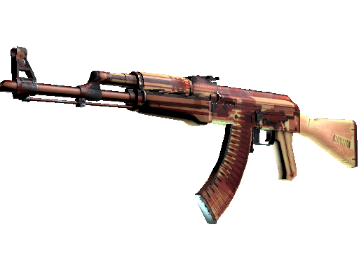 AK-47 | X-Ray (Well-Worn)