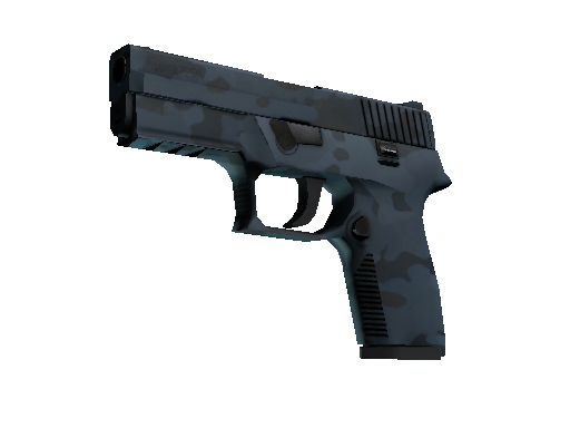 P250 | Forest Night (Minimal Wear)