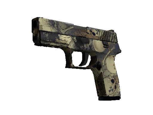 P250 | Contamination (Well-Worn)