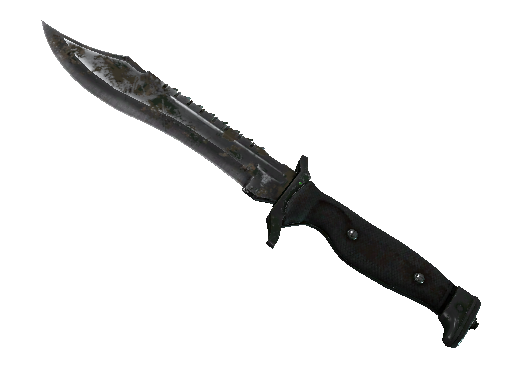 ★ Bowie Knife | Forest DDPAT (Battle-Scarred)