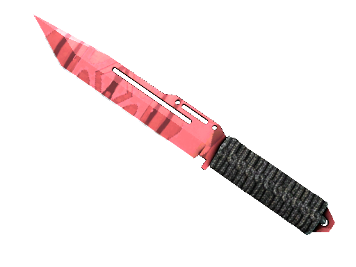 ★ StatTrak™ Paracord Knife | Slaughter (Factory New)