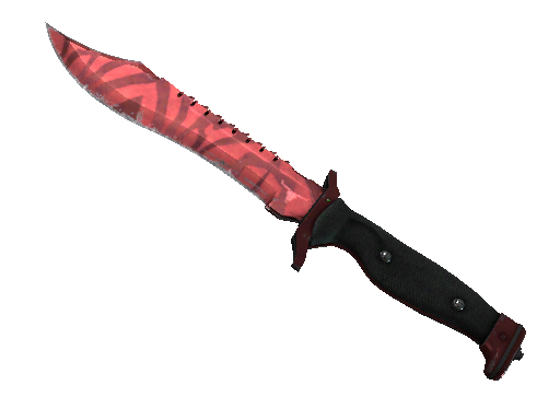 ★ Bowie Knife | Slaughter (Field-Tested)