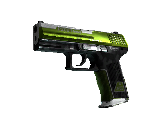 StatTrak™ P2000 | Turf (Well-Worn)