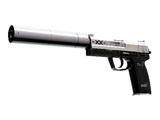 StatTrak™ USP-S | Printstream (Well-Worn)