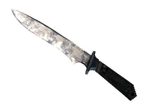 ★ StatTrak™ Classic Knife | Stained (Field-Tested)