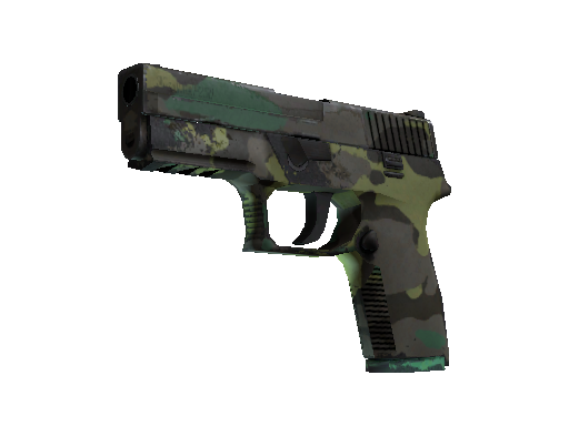 P250 | Boreal Forest (Field-Tested)