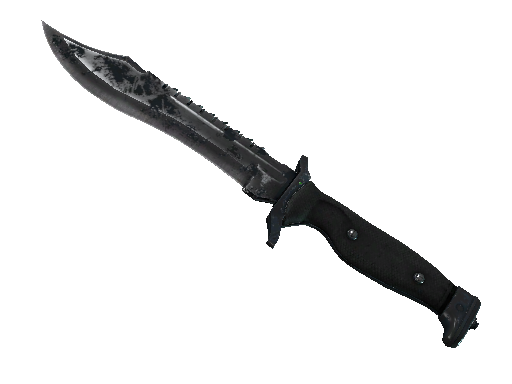 ★ Bowie Knife | Night (Battle-Scarred)