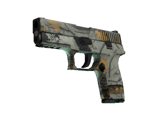 P250 | Modern Hunter (Field-Tested)