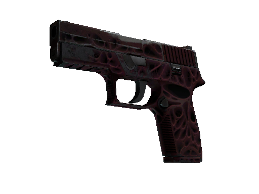 StatTrak™ P250 | Contaminant (Well-Worn)