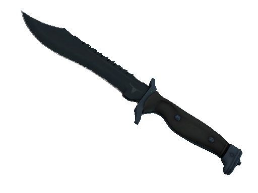 ★ Bowie Knife | Night (Minimal Wear)