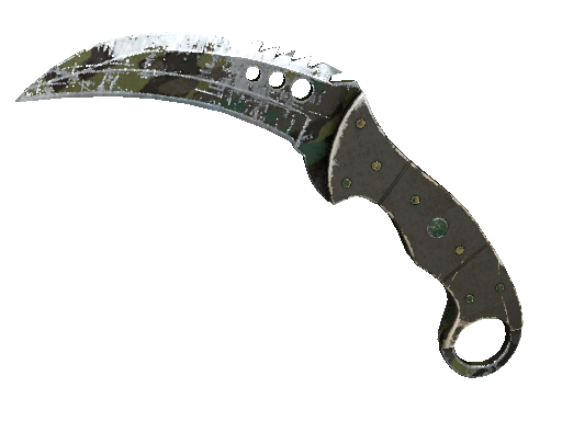 ★ Talon Knife | Boreal Forest (Battle-Scarred)