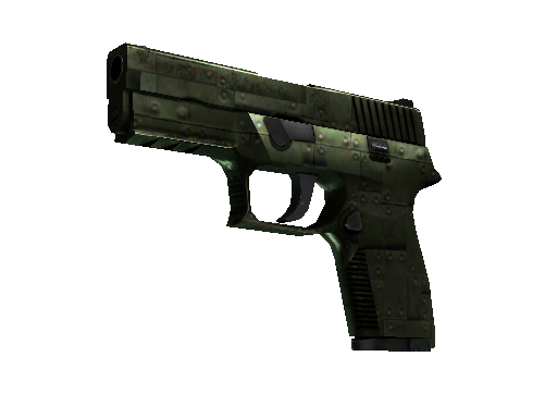 P250 | Iron Clad (Well-Worn)