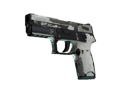 P250 | Whiteout (Battle-Scarred)