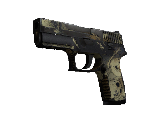 P250 | Contamination (Battle-Scarred)