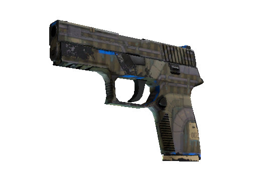 Souvenir P250 | Exchanger (Well-Worn)