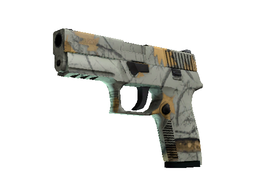 P250 | Modern Hunter (Minimal Wear)