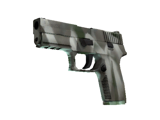 P250 | Bone Mask (Factory New)