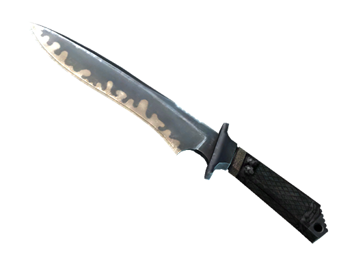 ★ StatTrak™ Classic Knife