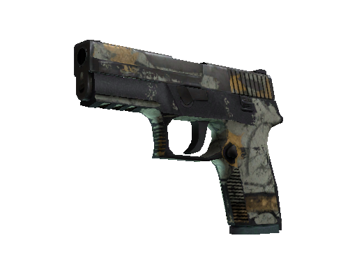 P250 | Modern Hunter (Battle-Scarred)